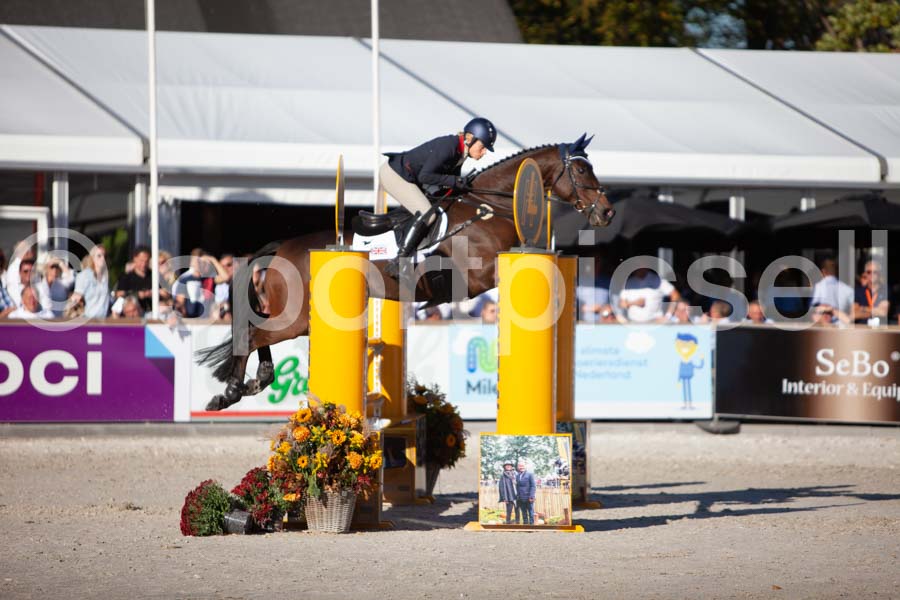Prüfung showjumping-2 — IMG_4448