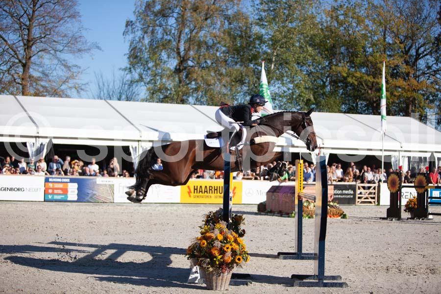 Prüfung showjumping-2 — IMG_4455