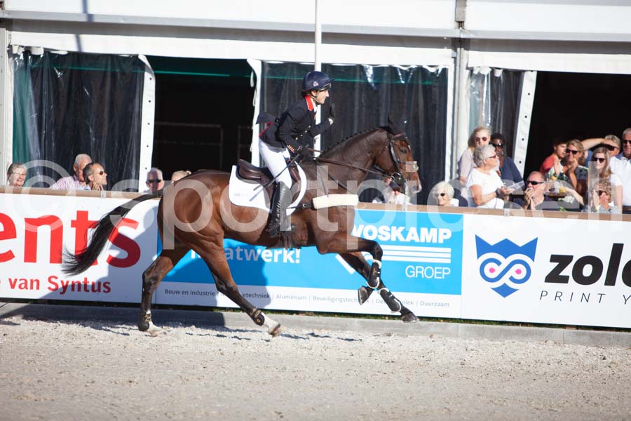 Prüfung showjumping-2 — IMG_4463