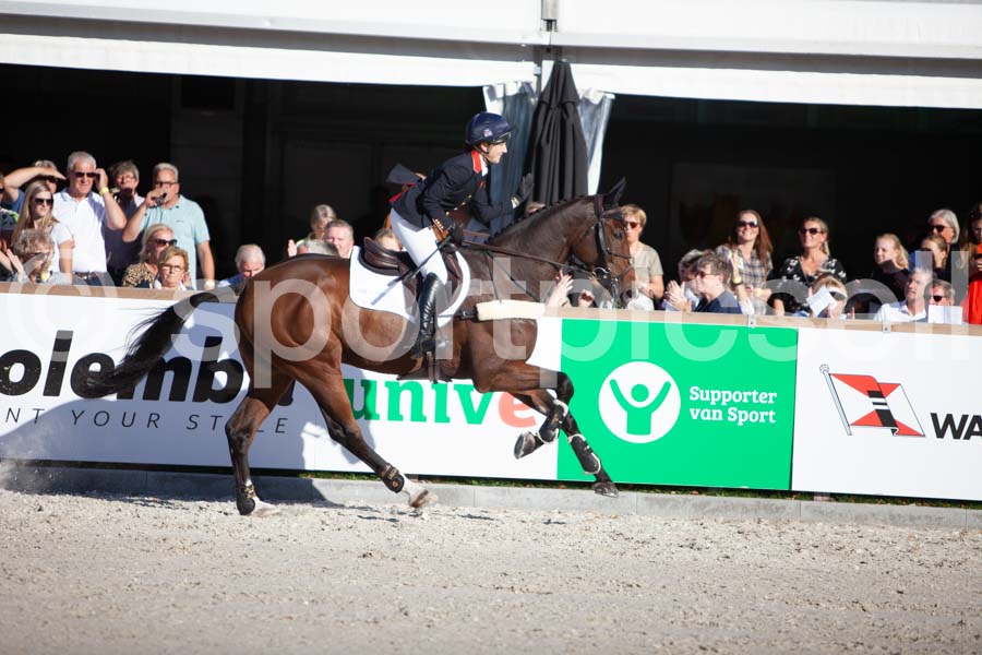 Prüfung showjumping-2 — IMG_4465