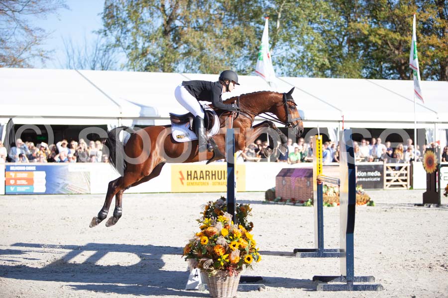 Prüfung showjumping-2 — IMG_4473