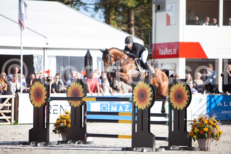 Prüfung showjumping-2 — IMG_4475