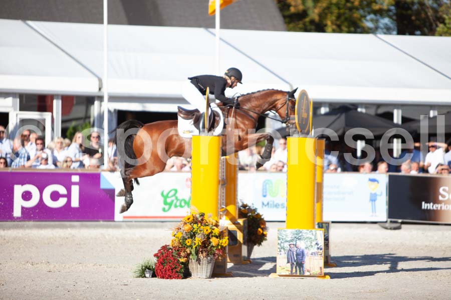 Prüfung showjumping-2 — IMG_4477