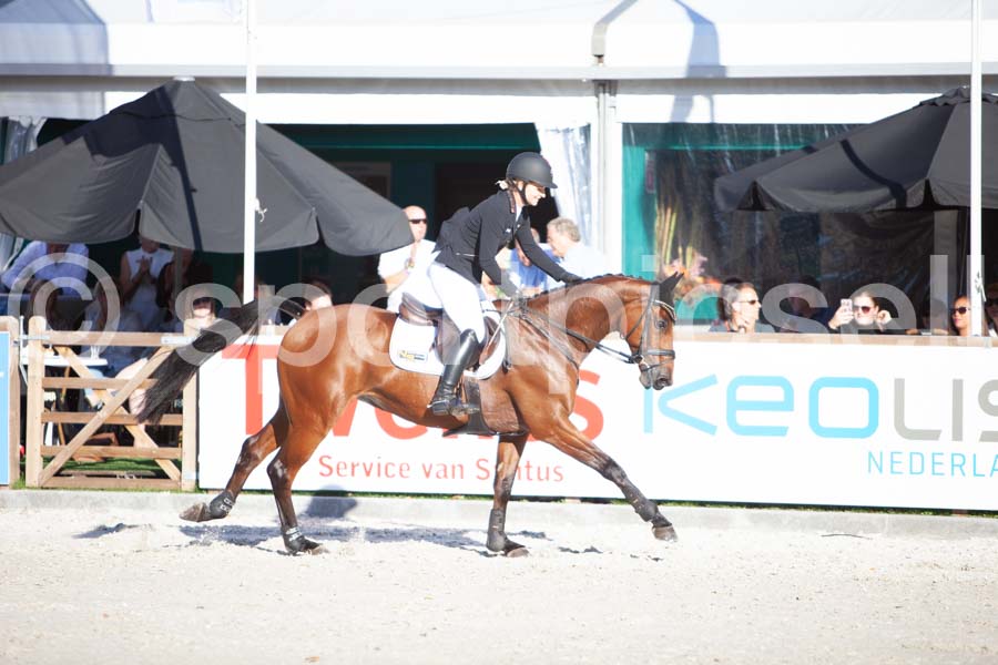 Prüfung showjumping-2 — IMG_4479