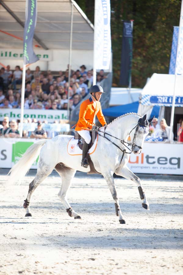 Prüfung showjumping-2 — IMG_4485