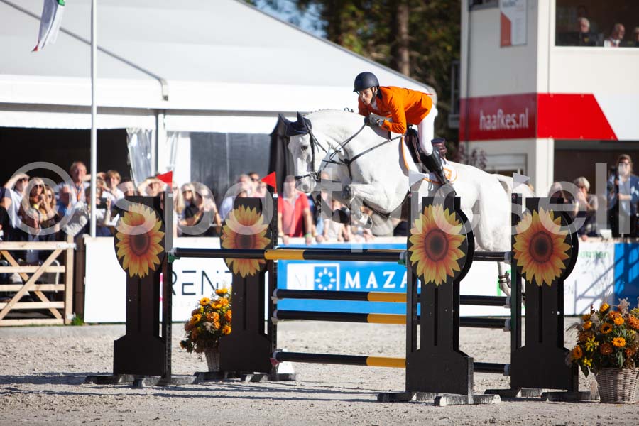 Prüfung showjumping-2 — IMG_4497
