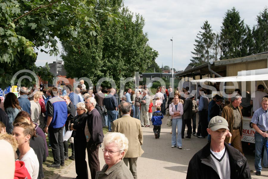 Prüfung diverse — IMG_0150
