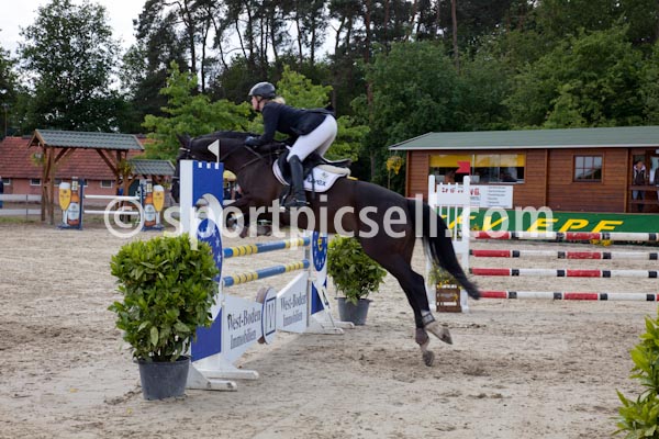 Prüfung 17 — 17 Springpferdeprüfung Kl L IMG_2209