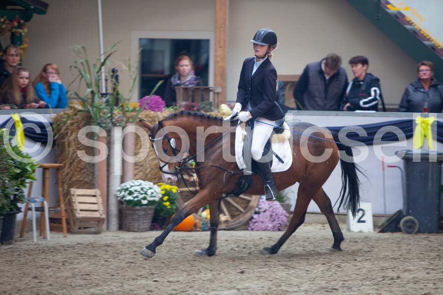 Prüfung 03-2 — IMG_2474