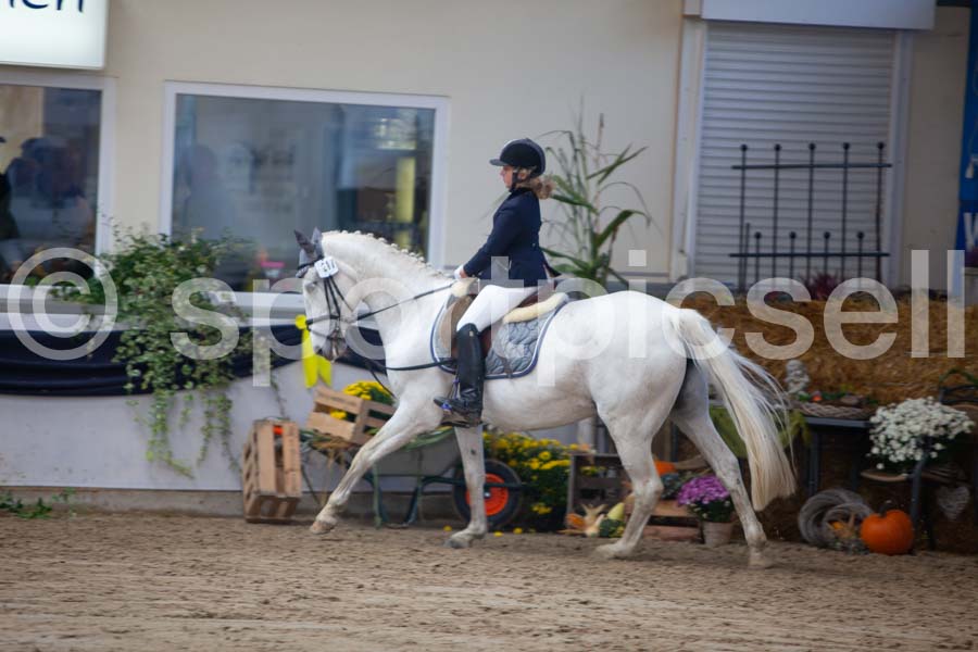 Prüfung 03-2 — IMG_2484