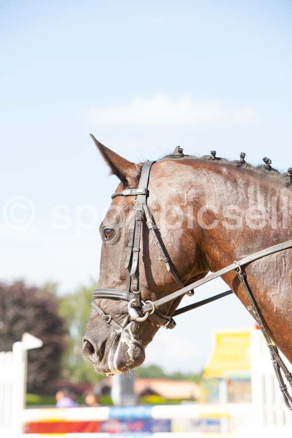 Prüfung 27-2 — IMG_1028