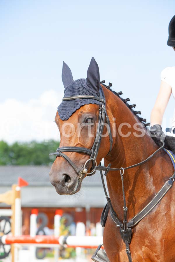 Prüfung 27-3 — IMG_1086