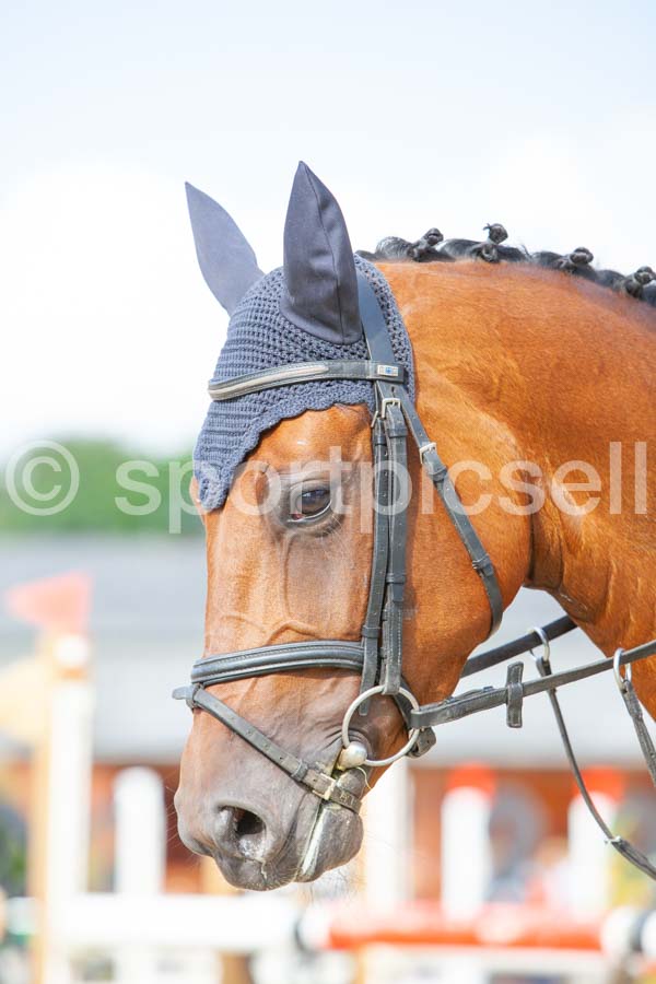 Prüfung 27-3 — IMG_1087
