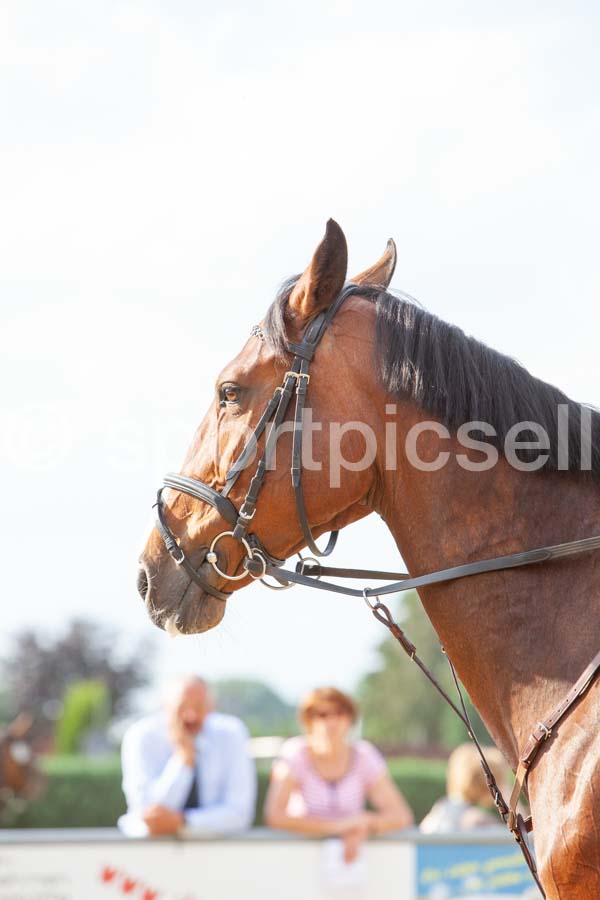Prüfung 27-3 — IMG_1152