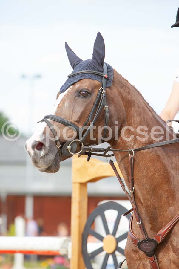 Prüfung 27-3 — IMG_1193