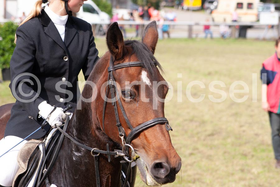 Prüfung 08 — IMG_1000