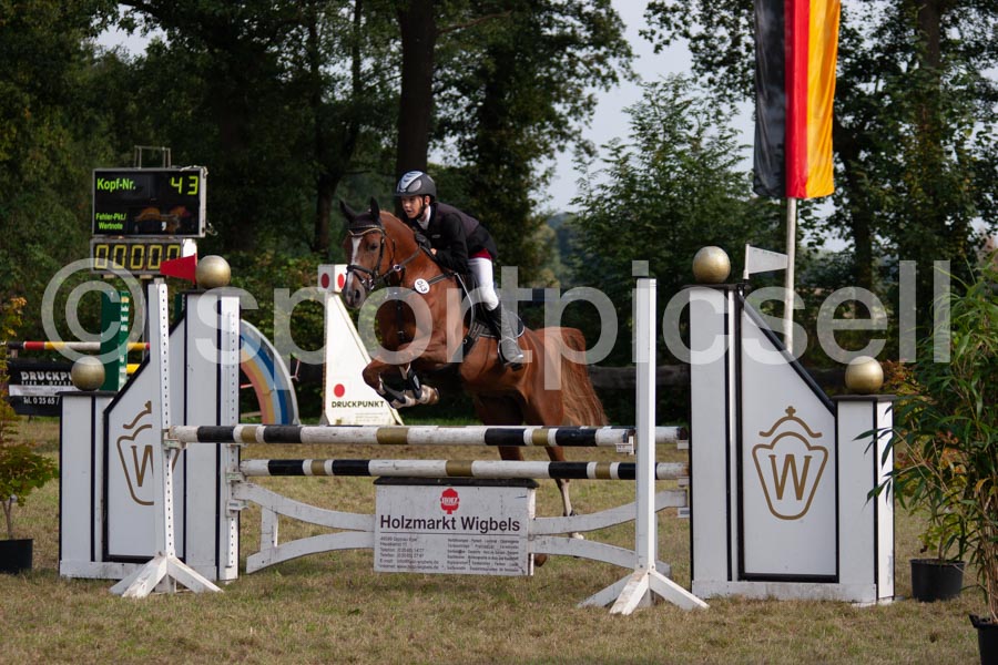 Prüfung 11 — IMG_1185