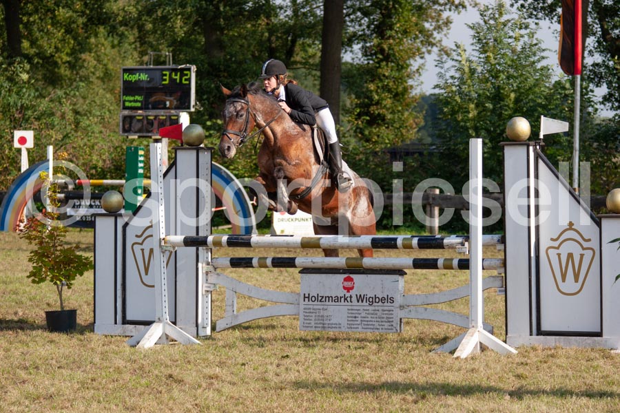 Prüfung 11 — IMG_1295