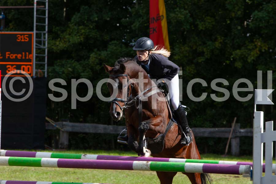 Proef 16-1 — IMG_5329