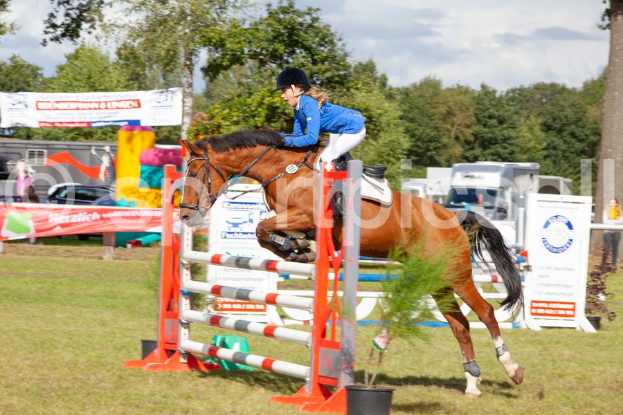 Proef 16-2 — IMG_5342