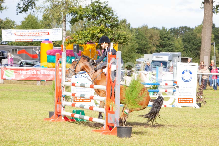 Proef 16-2 — IMG_5367