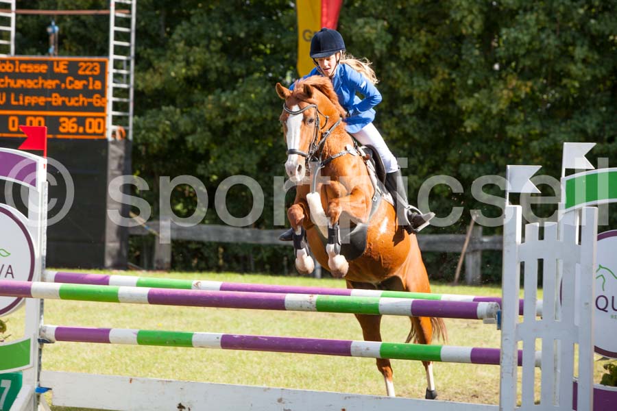 Proef 16-2 — IMG_5434
