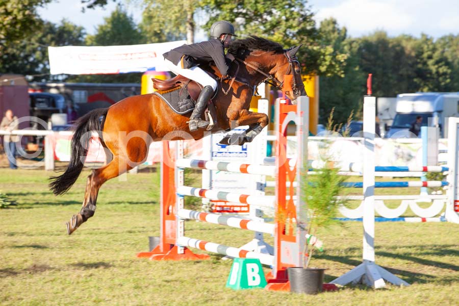 Proef 17 — IMG_5630