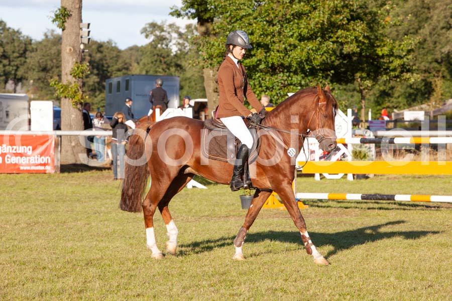 Proef 17 — IMG_5633