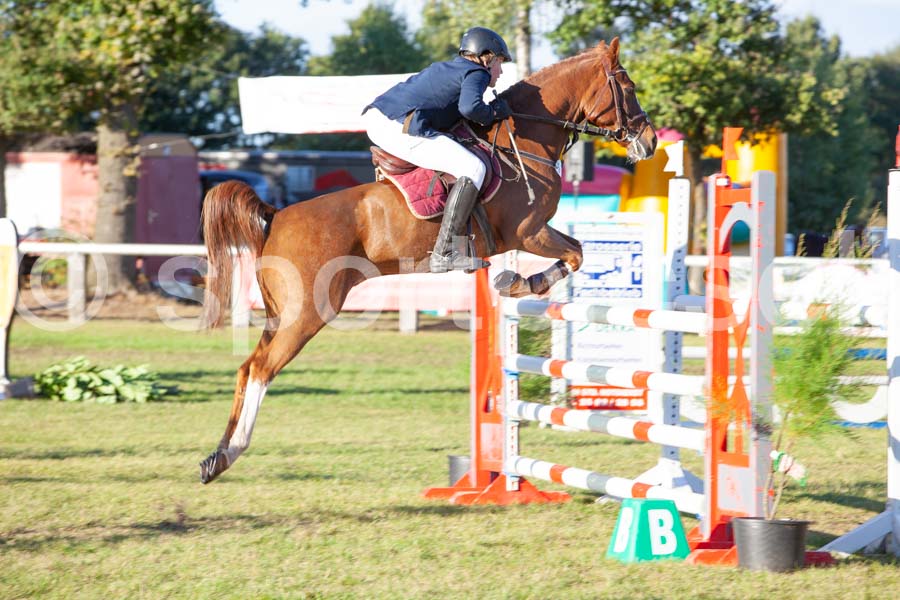 Proef 17 — IMG_5648