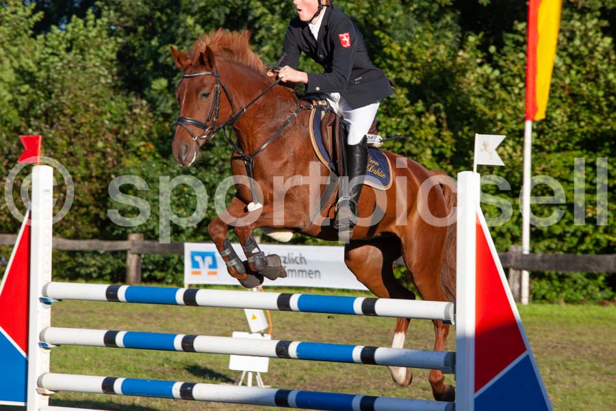 Proef 17 — IMG_5653