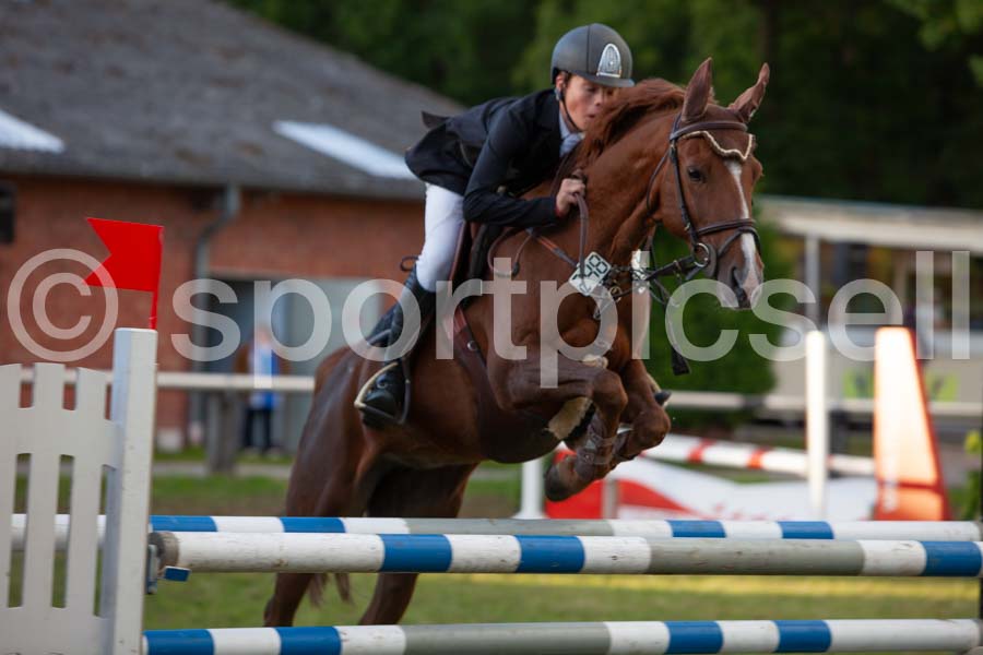 Proef 17 — IMG_5738