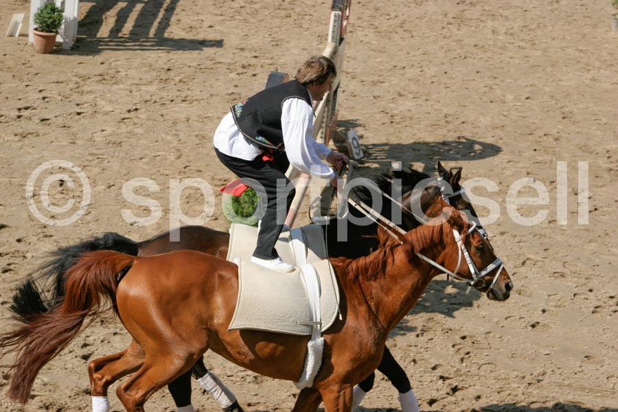 Prüfung 00 — IMG_2219