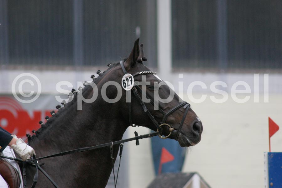 Prüfung 10-2 — IMG_1597