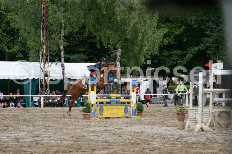 Prüfung 27-1 — IMG_1135