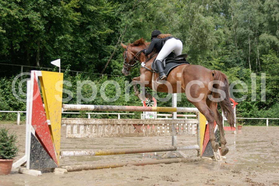 Prüfung 28-2 — IMG_0971