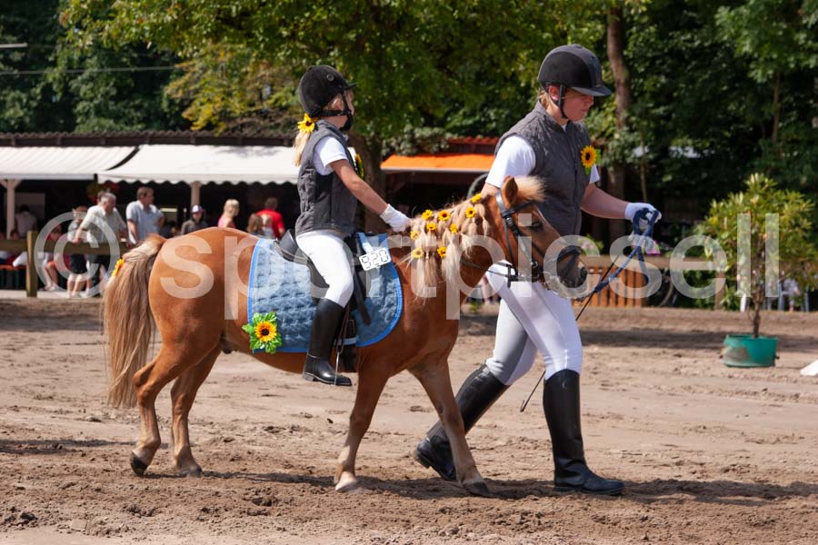 Prüfung 01-2 — IMG_5967