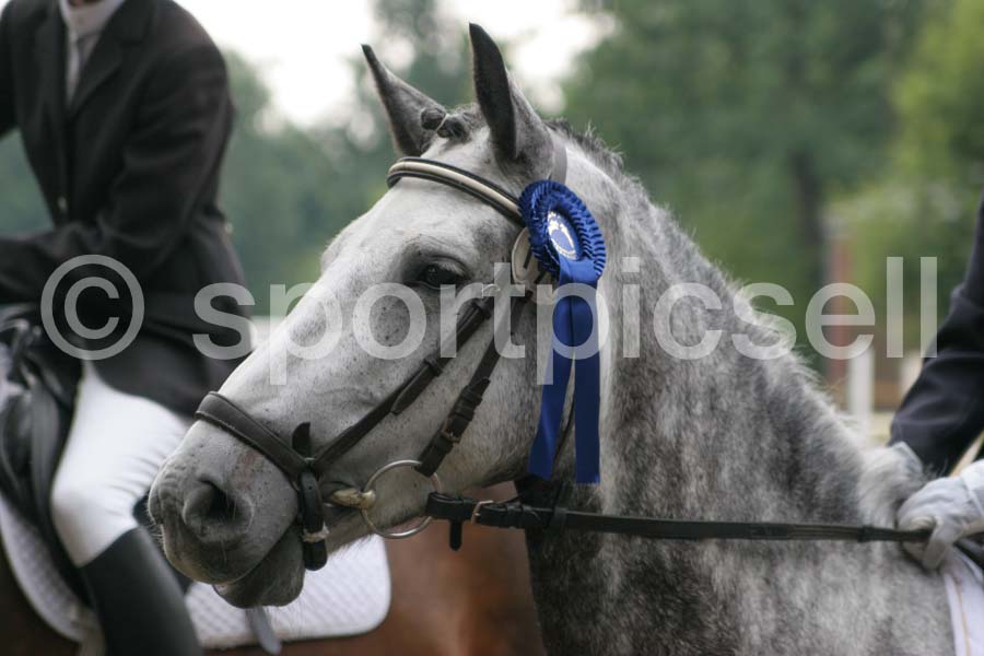 Prüfung 27-3 — IMG_4698