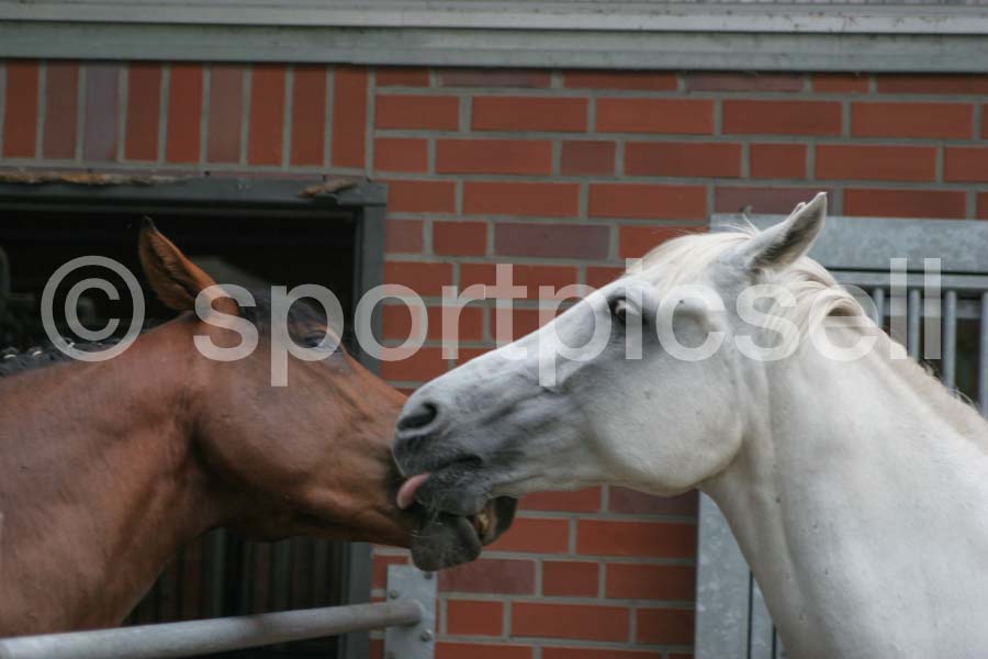 Prüfung 27-3 — IMG_4702