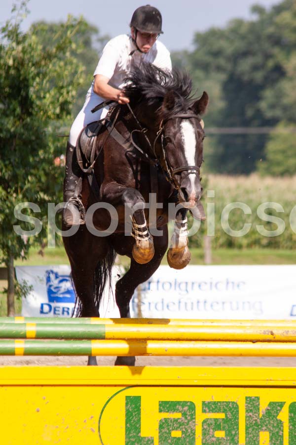 Prüfung 31-1 — IMG_5533