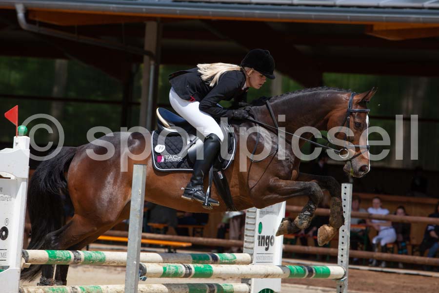 Prüfung 33 — IMG_7705