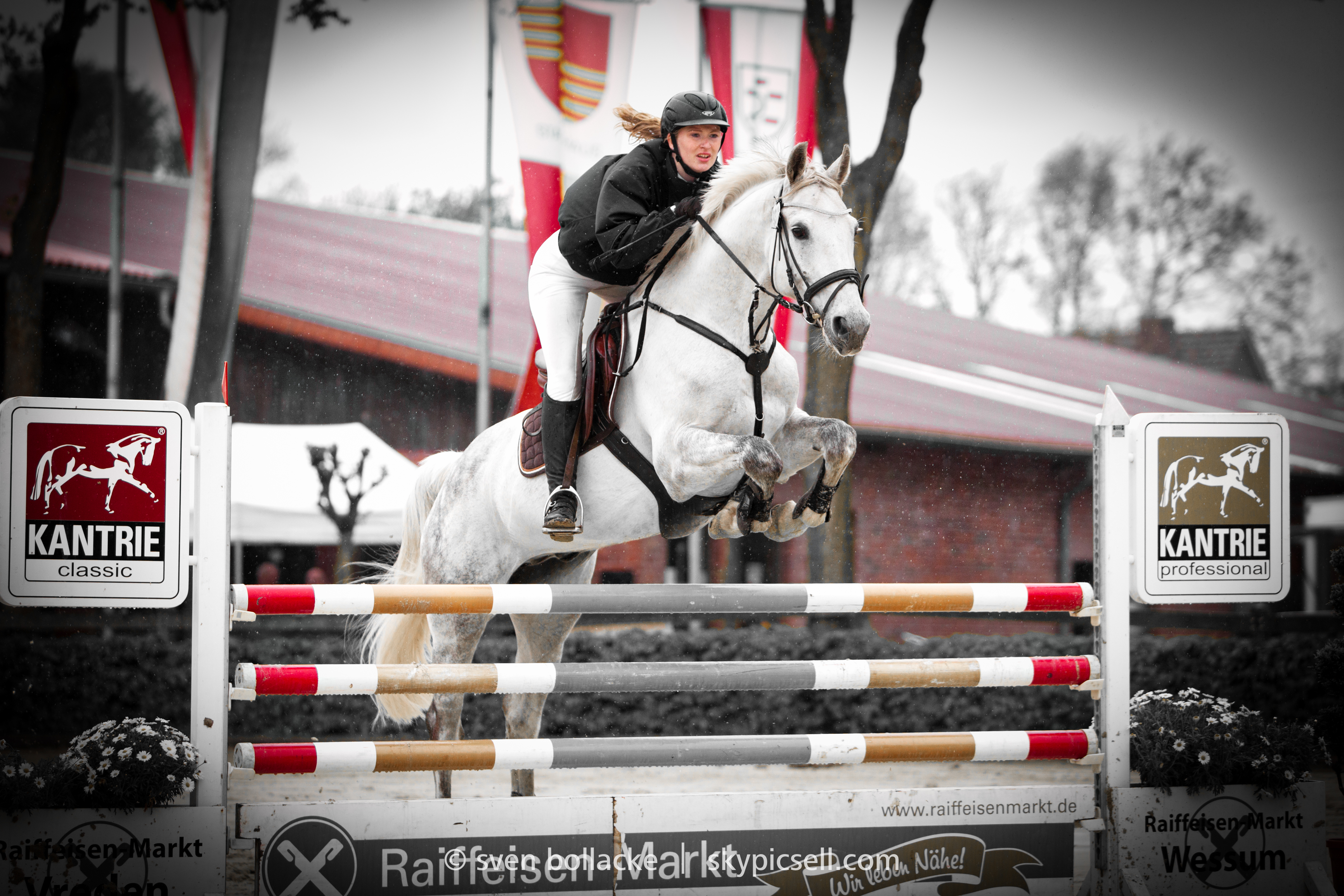 sportpicsell
