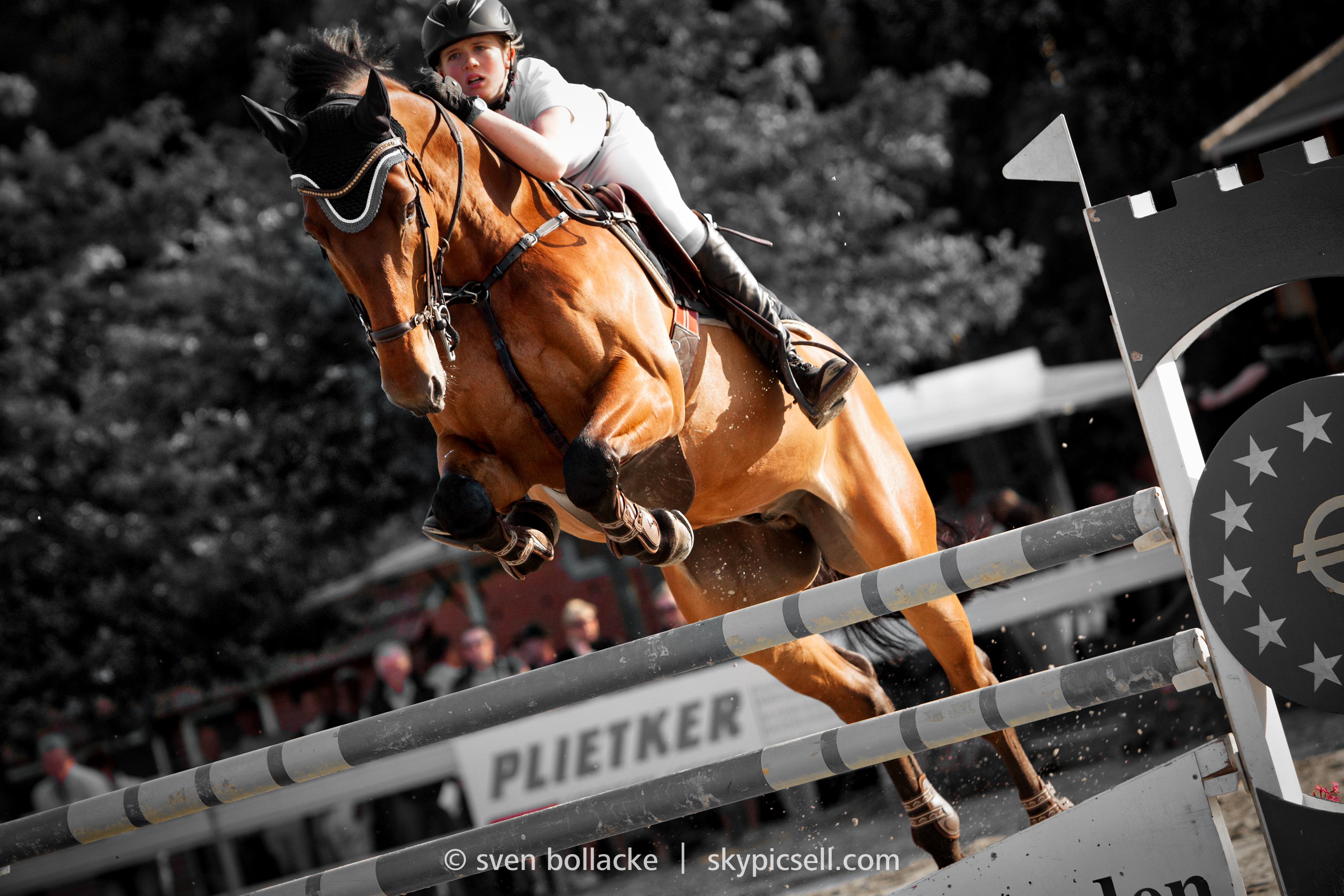 sportpicsell