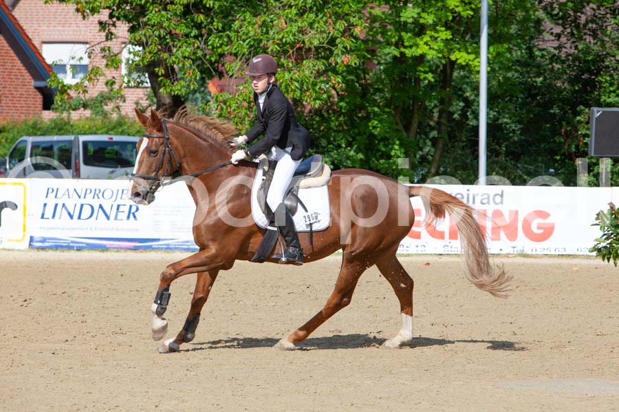 Prüfung 13 — IMG_8331