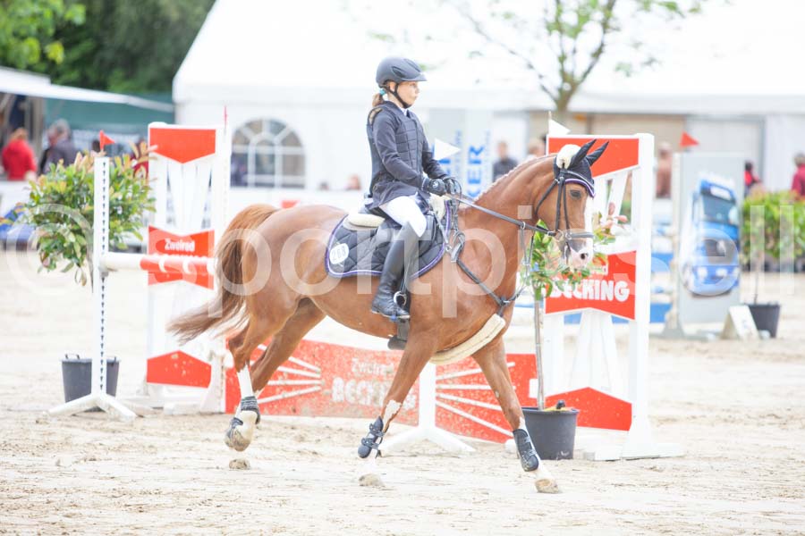 Prüfung 15 — IMG_8747