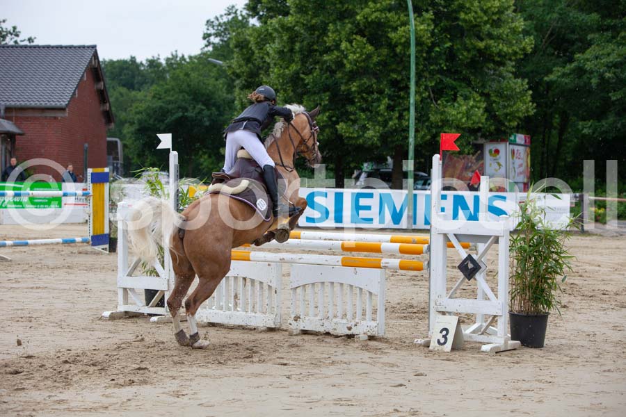 Prüfung 16 — IMG_9120